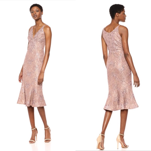 Dress the Population Dresses & Skirts - DRESS THE POPULATION Isabelle Lace Midi Dress